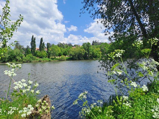 andrezieux-boutheon3a