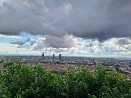 lyon1a