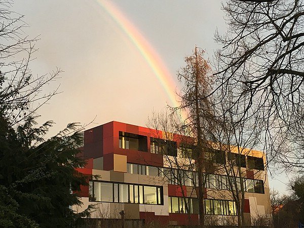 2017-Regenbogen